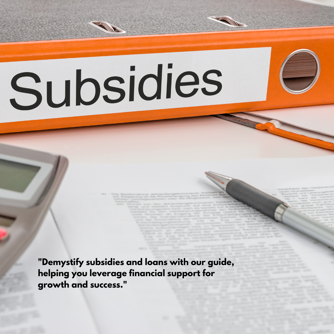 Subsidy